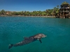 dan-panorama-eilat-018